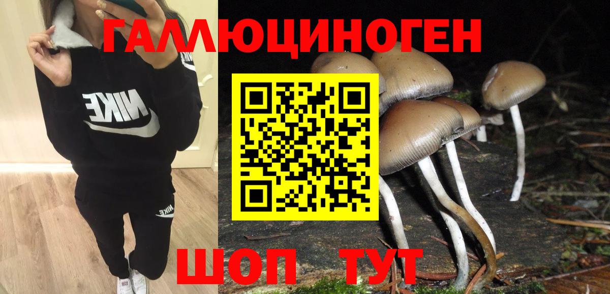 Рубцовск  Псилоцибиновые грибы Psilocybine cubensis  хочу наркоту  Вход с VPN 